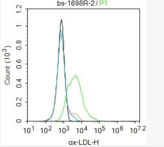 ox-LDL 氧化低密度脂蛋白抗体