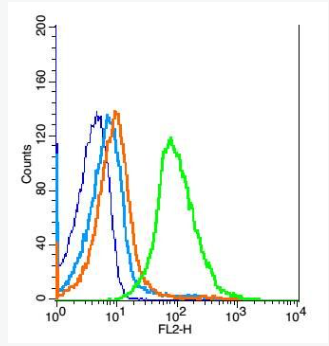 Anti-TLR9 antibody -Toll样受体9抗体