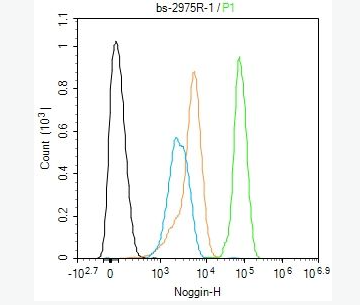 Anti-Noggin antibody -指(趾)关节粘连NOG蛋白抗体