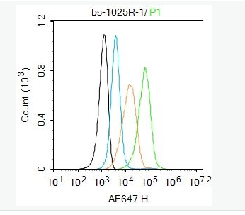 Anti-HGF antibody-肝细胞生长因子α抗体