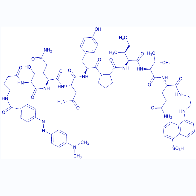 荧光 HIV-1 蛋白酶底物/127134-13-8/Dabcyl-Gaba-SQNYPIVQ-Edans