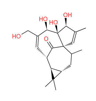 巨大戟醇