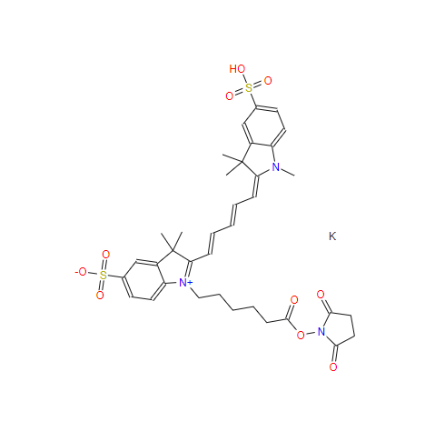 Sulfo-Cy5 NHS酯