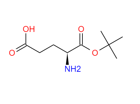1-叔丁基 L-谷氨酸 45120-30-7