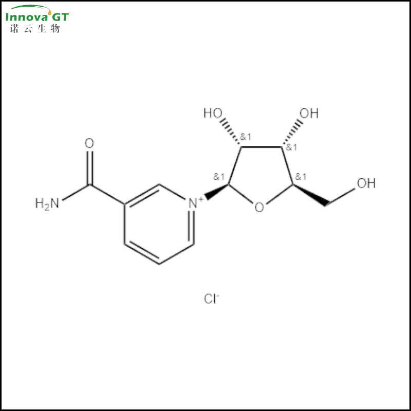 烟酰胺核苷,NR