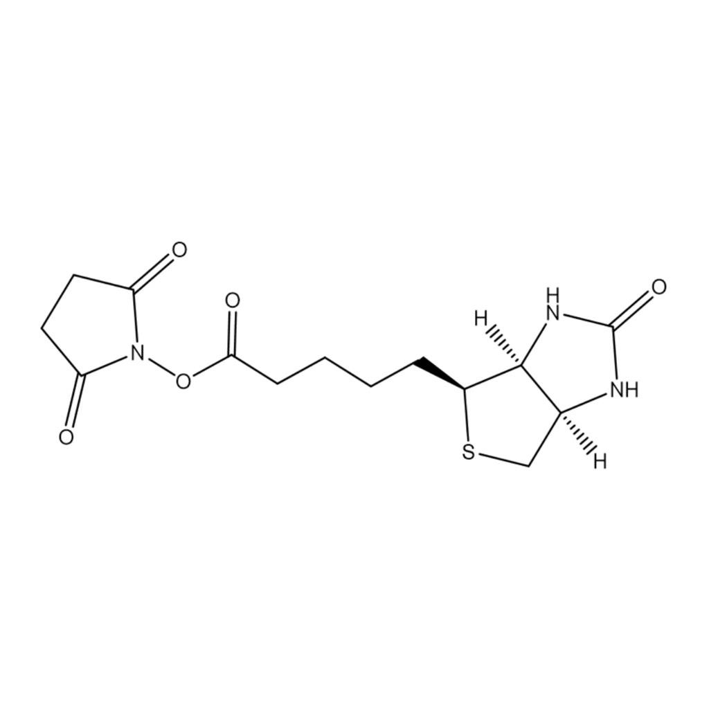(+)生物素-N-琥珀酰亚胺基酯