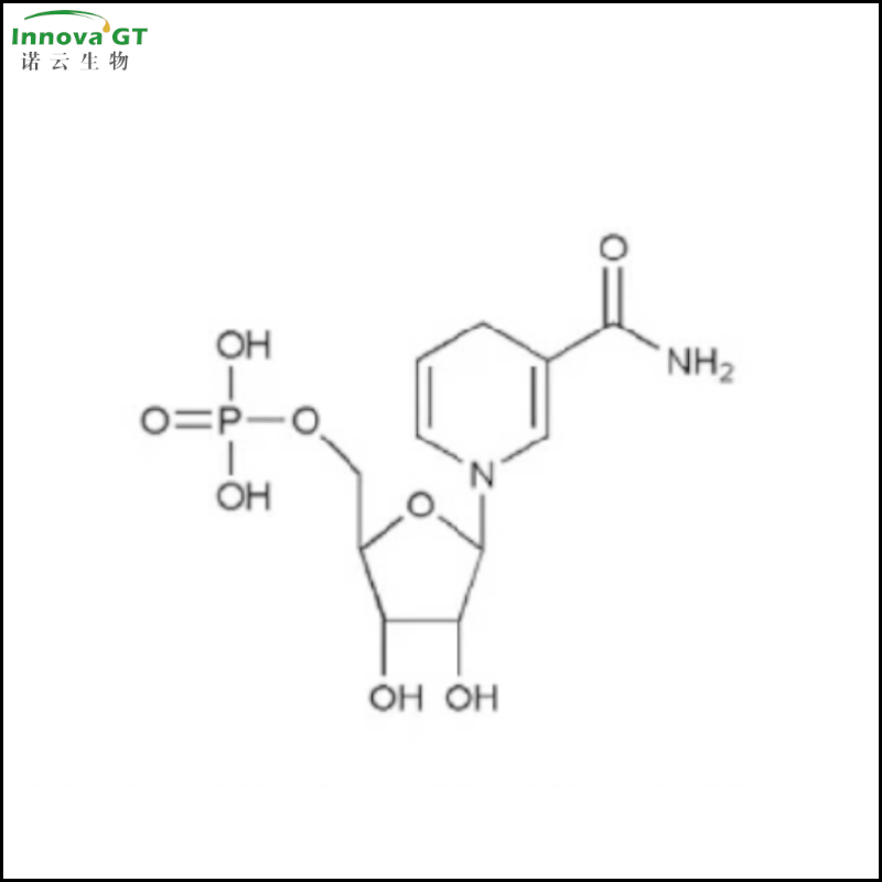 还原型β-烟酰胺单核苷酸, NMNH