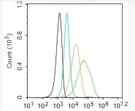 Anti-TGF beta Receptor Iantibody-转移生长因子β受体1抗体