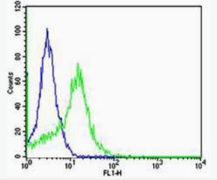 Anti-Integrin Alpha V + Beta 5 antibody-整合素αVβ5抗体