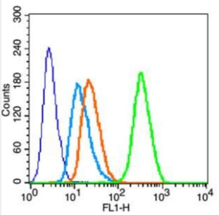 Anti-MUC1  antibody-粘蛋白-1抗体