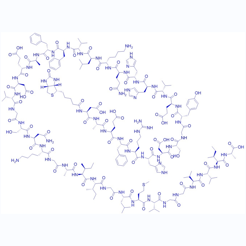 生物素标记淀粉样肽/1802086-20-9/Biotinyl-β-Amyloid (1-42)