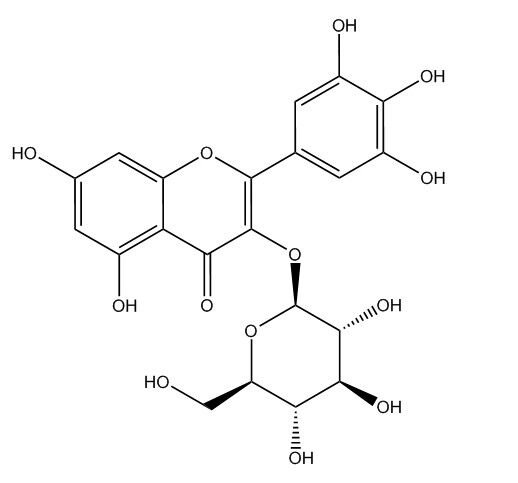 杨梅素-3-O-葡萄糖苷_19833-12-6