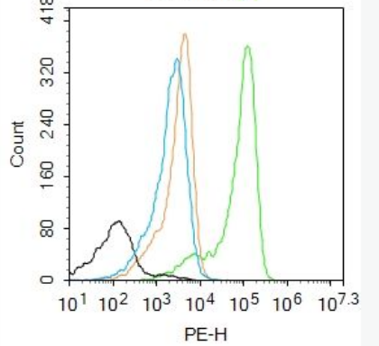 Anti-S100-A8 / MRP8 antibody-S100钙结合蛋白A8抗体