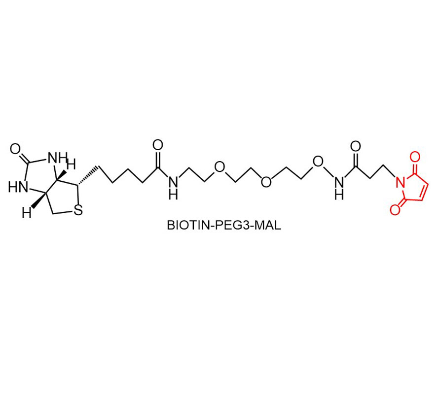 生物素聚乙二醇3马来酰亚胺,Biotin-PEG3-Mal,1431618-70-0