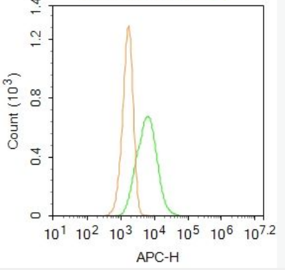 Anti-ST2 antibody-白细胞介素1受体相关蛋白抗体