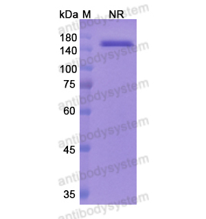 Research Grade Faricimab  (DHA42301)