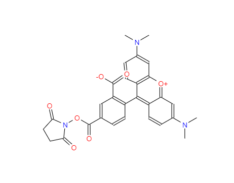 5-羧基四甲基罗丹明琥珀酰亚胺酯