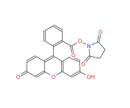 5(6)-羧基荧光素琥珀酰亚胺酯