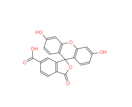 6-羧基荧光素