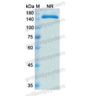 Research Grade Cergutuzumab  (DHC21002)