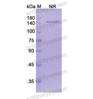 Research Grade Tarextumab  (DHG01801)