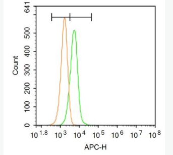 Anti-TM4SF3 antibody-跨膜蛋白4超家族成员3抗体