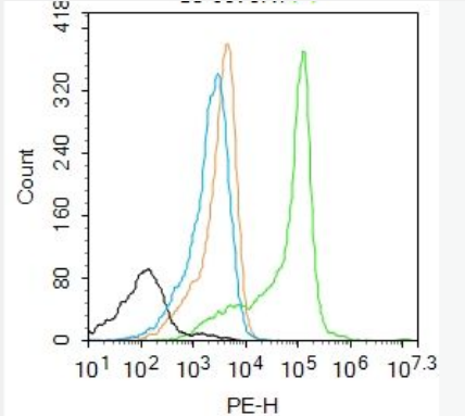 Anti-S100A7 antibody-S100钙结合蛋白A7抗体