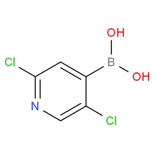 2,5-二氯吡啶-4-硼酸