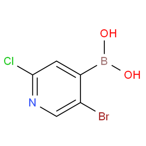 5-溴-2-氯砒啶-4-硼酸