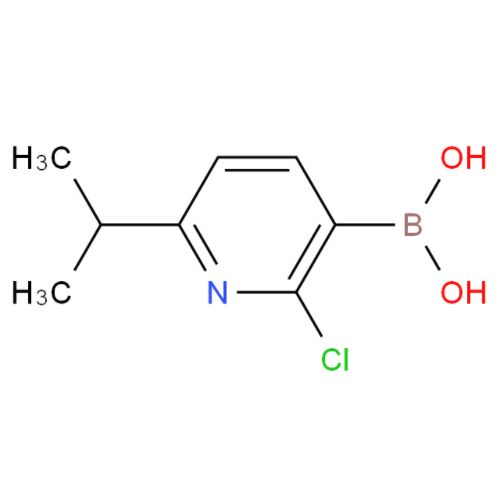 2-氯-6-异丙基吡啶-3-硼酸