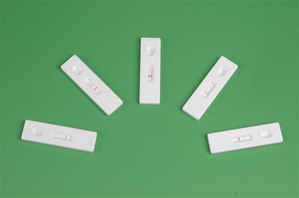 BinaxNow疟原虫抗原检测试剂盒