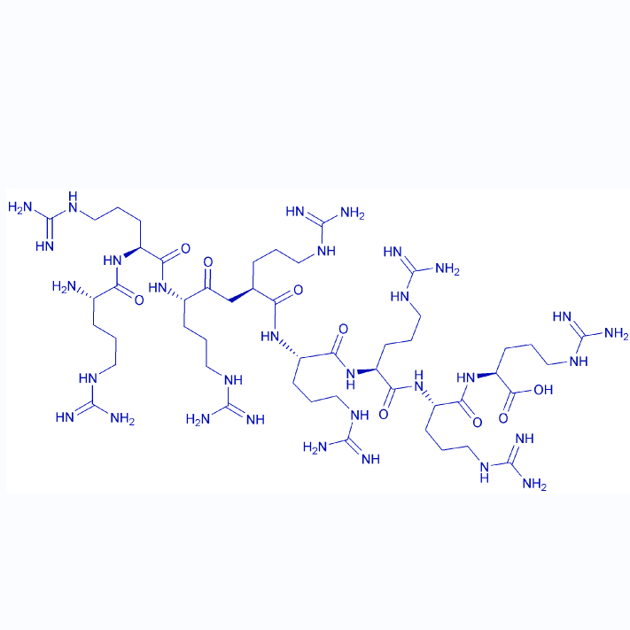 八聚精氨酸/148796-86-5/Octaarginine/Octa-Arg