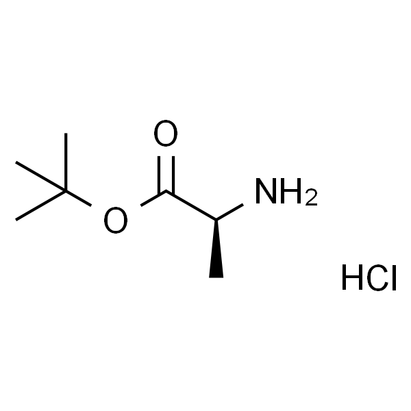  H-Ala-OtBu.HCl