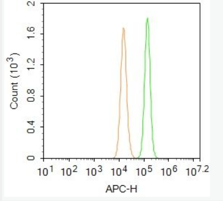 Anti-FAP1 antibody-Fas相关磷酸酶1抗体