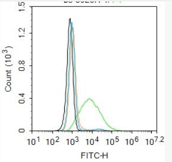 Anti-MAS1 antibody-MAS1癌基因抗体