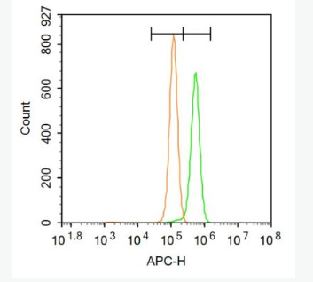 Anti-DAB2 antibody-信号转导功能磷蛋白DAB2抗体