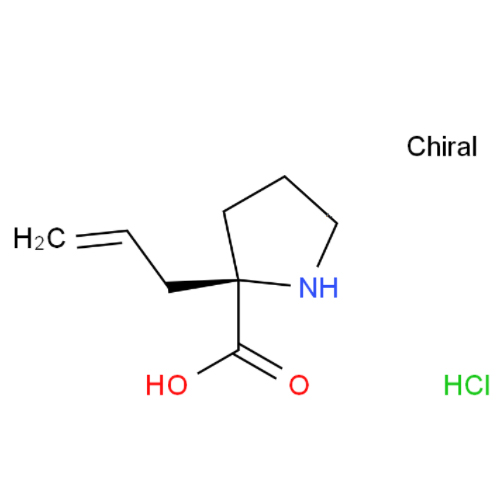 (R)-2-烯丙基吡咯烷-2-甲酸盐酸盐