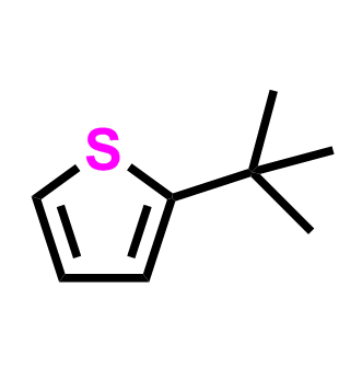 2-(叔丁基)噻吩