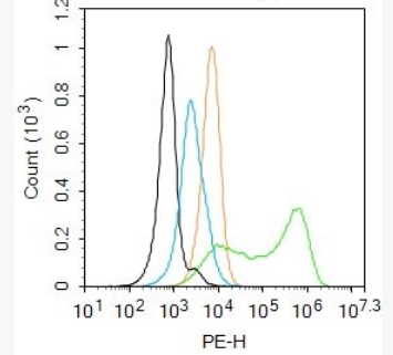 Anti-phospho-TIRAP (Tyr86) antibody-磷酸化白细胞介素1受体衔接蛋白抗体