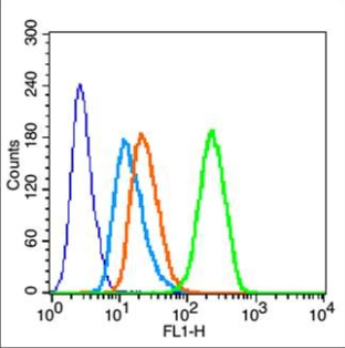 Anti-CA153 antibody-粘蛋白-1抗体