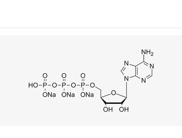 ATP sodium solution (100 mM)