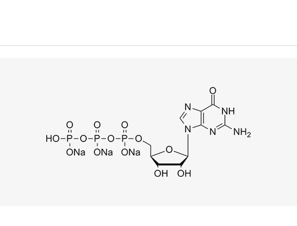 GTP sodium solution