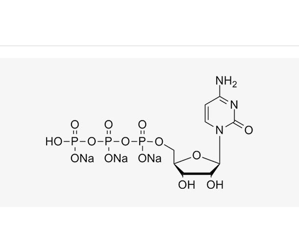 CTP sodium solution (100 mM)