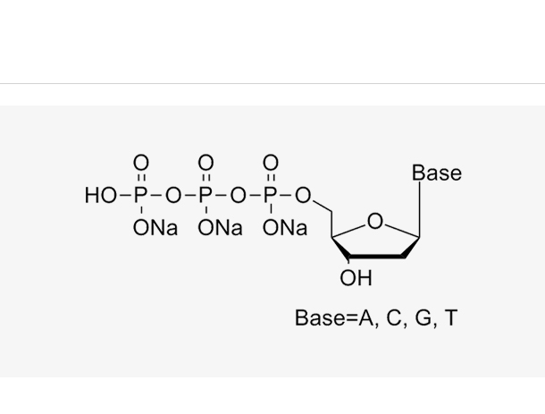 dNTP 25mM Mix(HPLC≥99%)