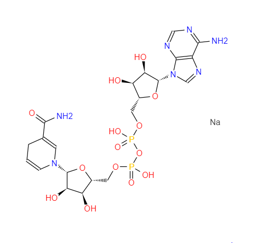 β-烟酰胺腺嘌呤二核苷酸二钠