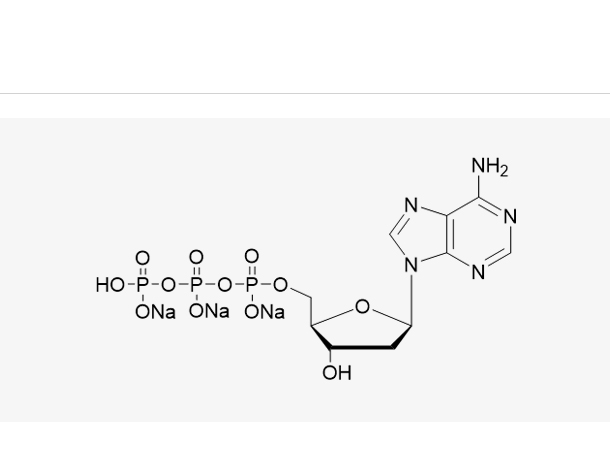 dGTP Sodium Salt Solution(100 mM)