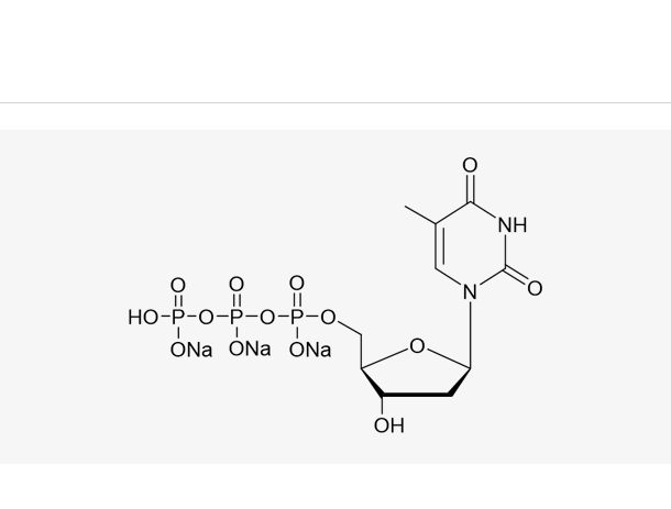 dTTP Sodium Salt Solution(100 mM)