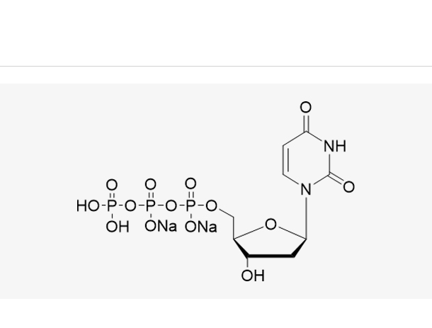 dUTP·Na2(HPLC≥99%)