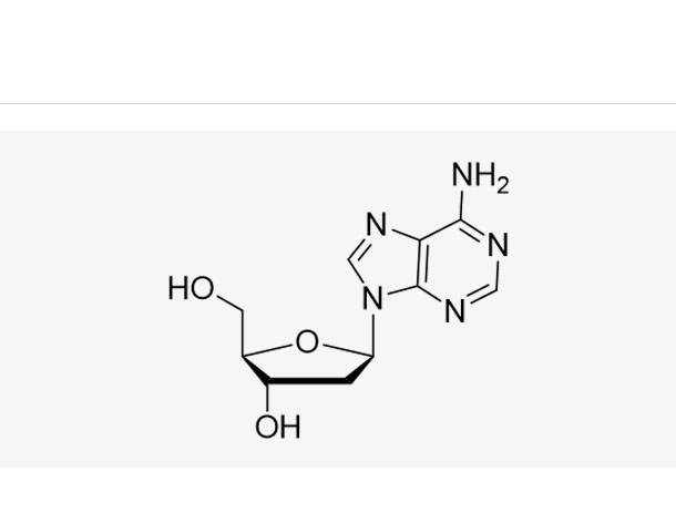 2'-Deoxyadenosine (dA)