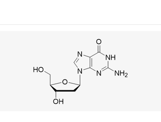 2'-Deoxyguanosine (dG)